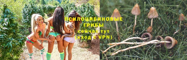 тгк Алексеевка