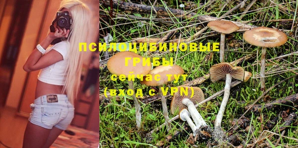прущая мука Сафоново