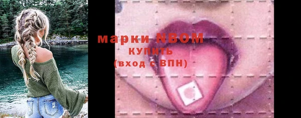 ECSTASY Алзамай