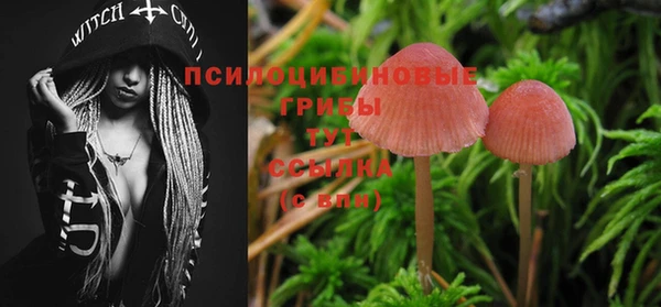тгк Алексеевка