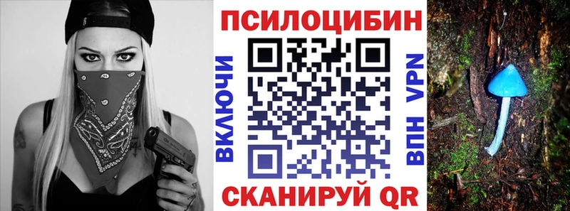 kraken вход  что такое   Воткинск  Галлюциногенные грибы Psilocybine cubensis 
